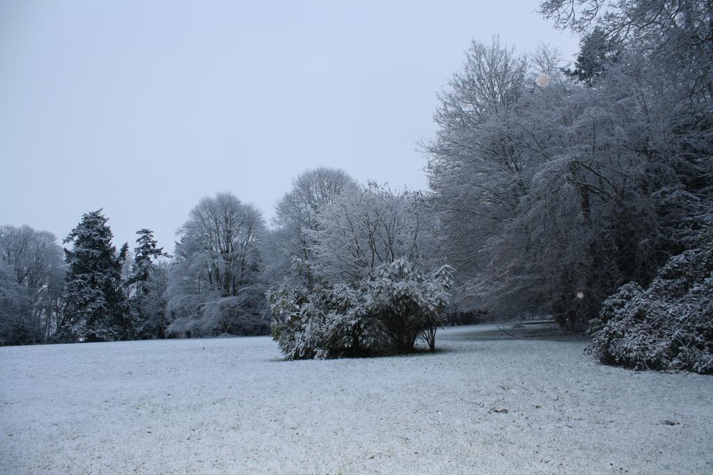 Chateau De Bertreville Bed & Breakfast ภายนอก รูปภาพ